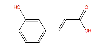 3-(3-Hydroxyphenyl)-2-propenoic acid